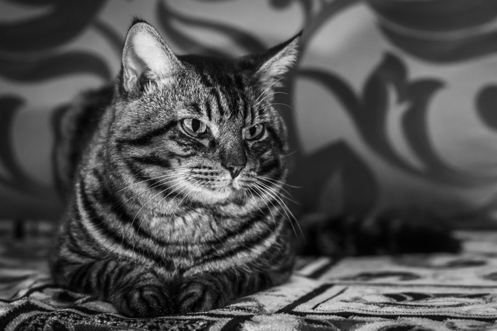 Photograph by Евгений Житников