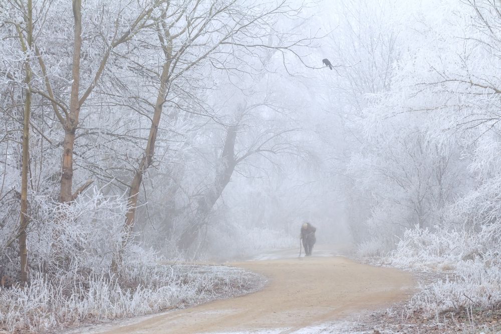 В зимнем тумане.