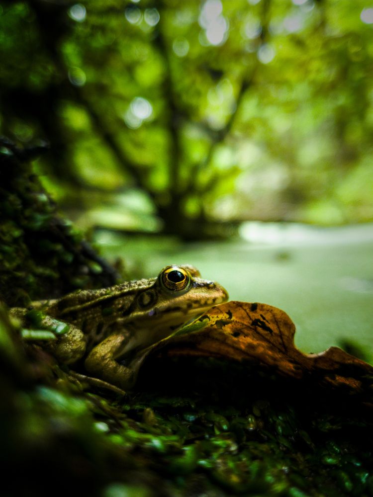 Photograph by Mahdi Reihani Bozorg