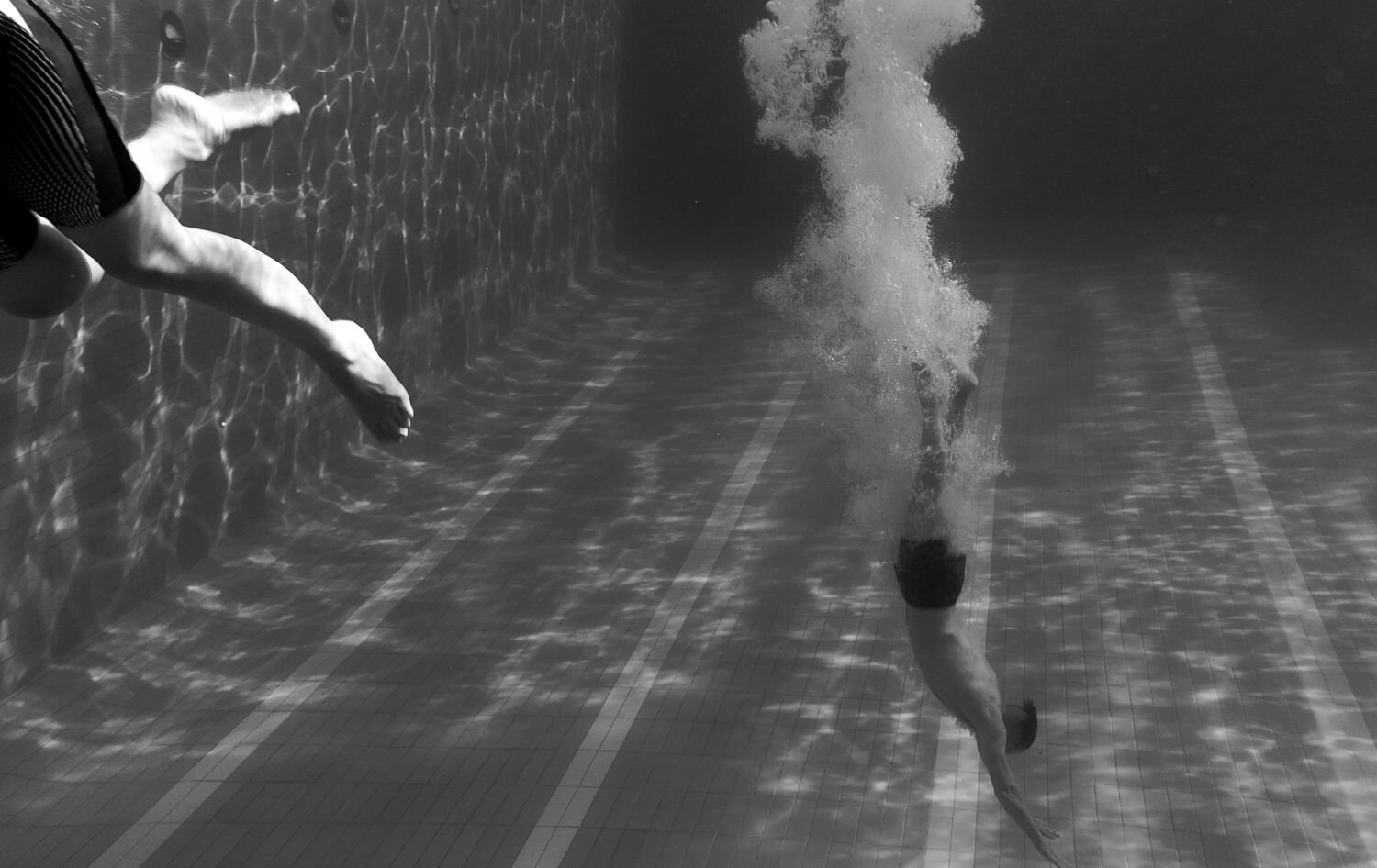 Photo #8766244