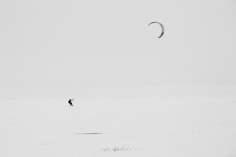 Photo #8766247