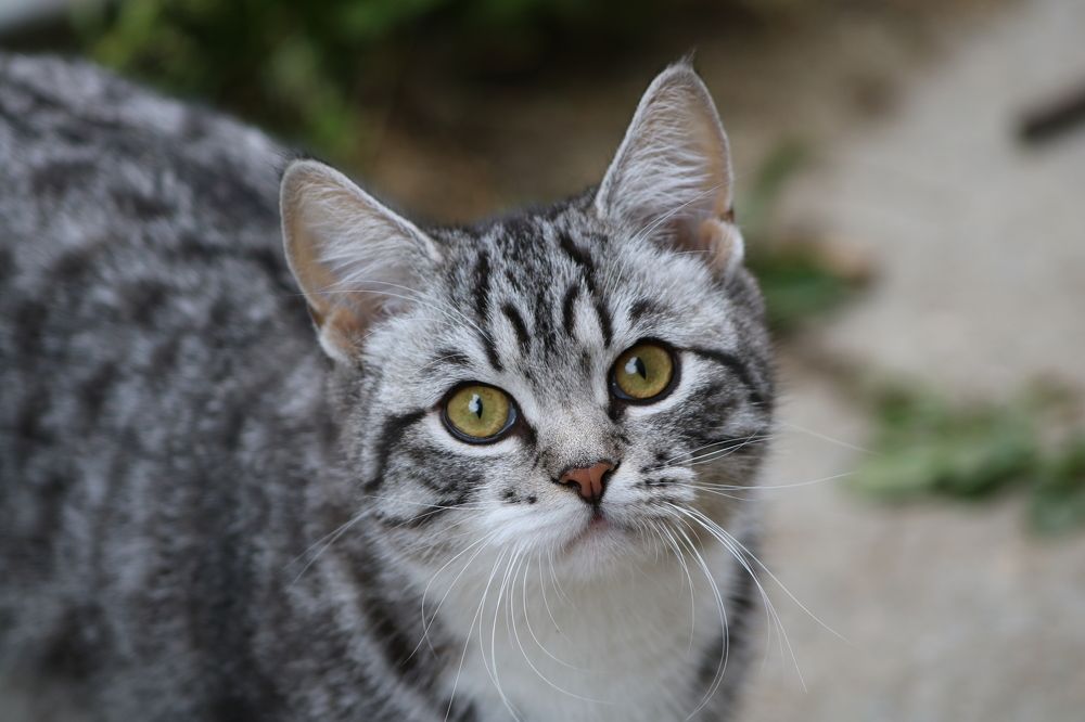 Photograph by Светлана Шуткова