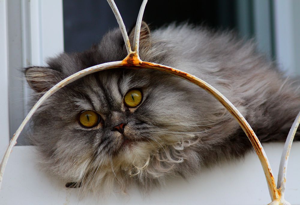 Photograph by Валерий Старков