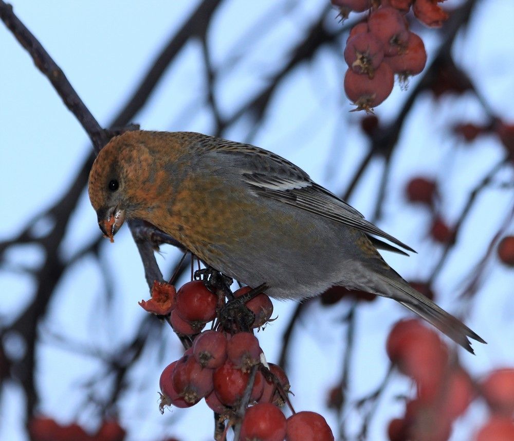 Photograph by Анна Колосова