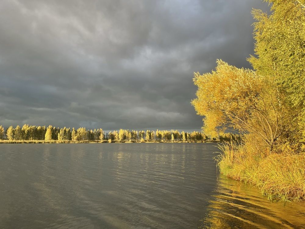 Photograph by Ольга