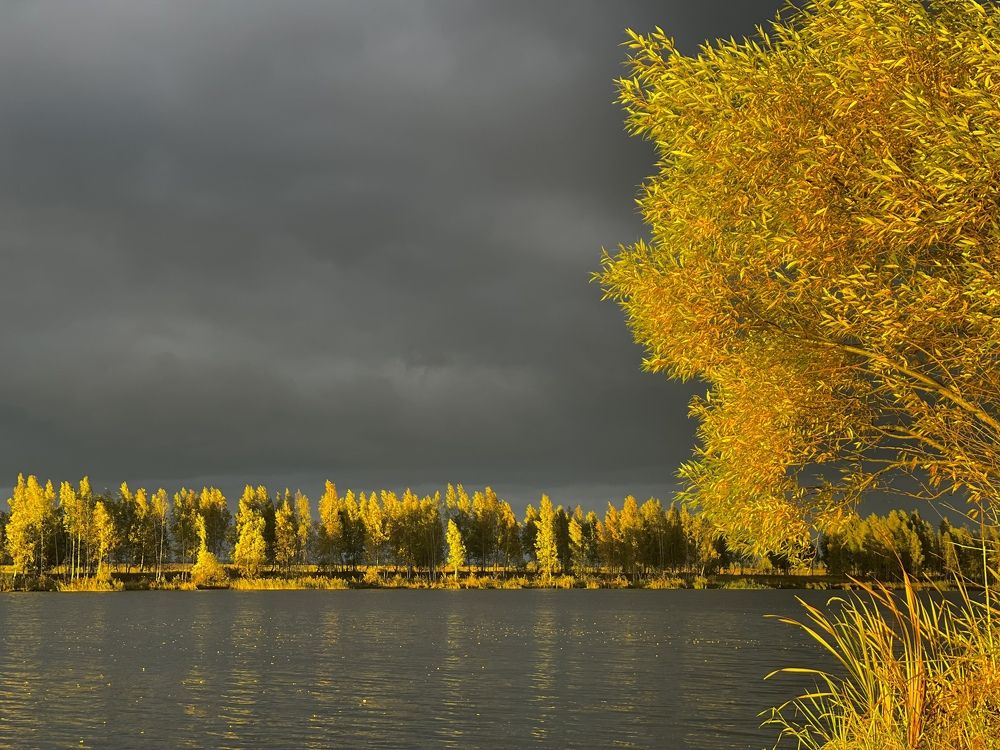 Photograph by Ольга