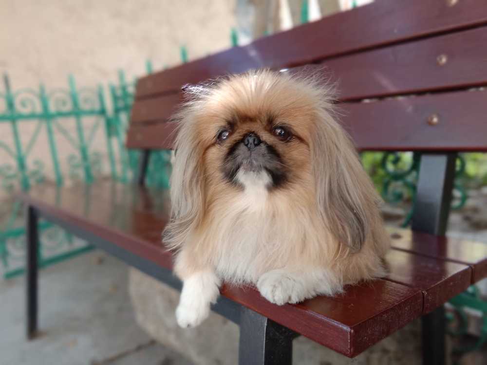 Photograph by Стаскевич Татьяна