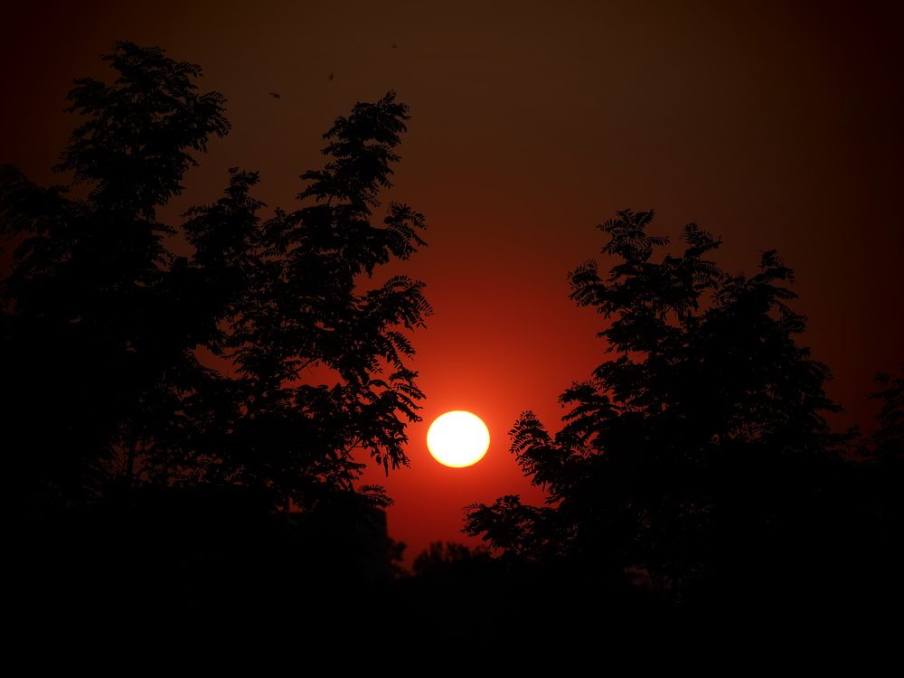 Photograph by Сергей Борисов