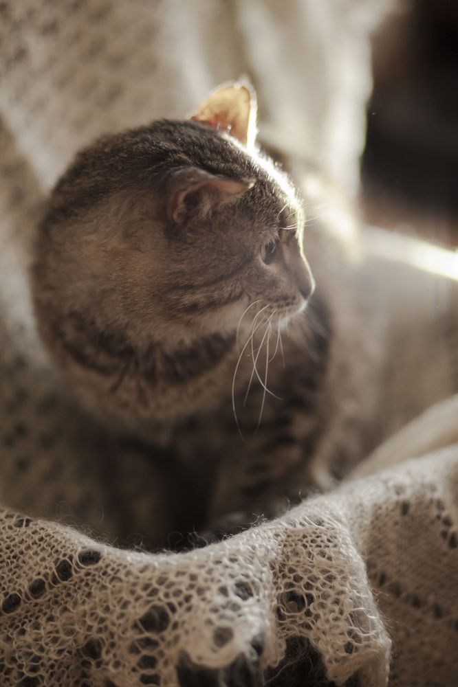 Photograph by Гузалия Галиуллина