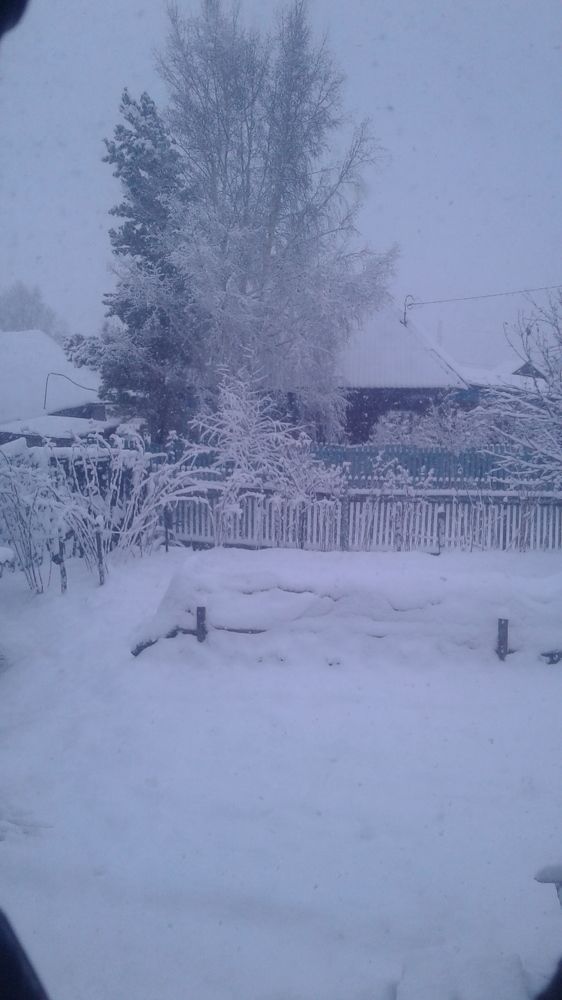 Photograph by Светлана