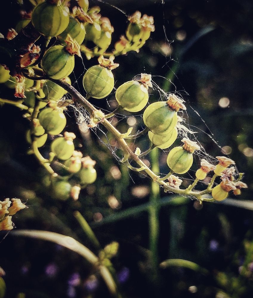 Photograph by Ольга Мартьянова