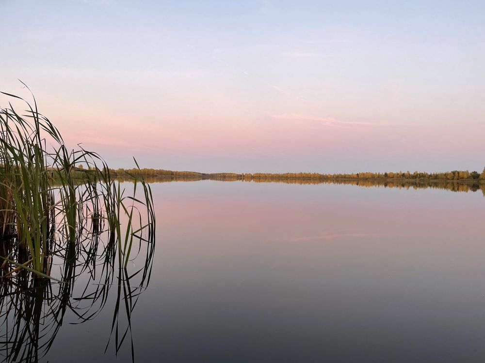 Photograph by Ольга