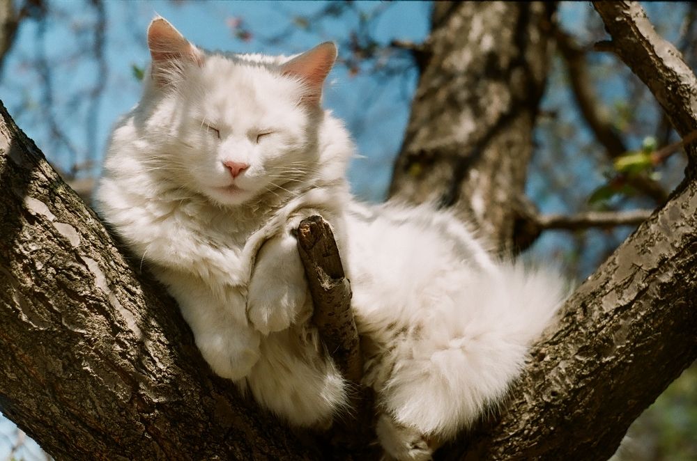 Photograph by Шалыгин Дмитрий