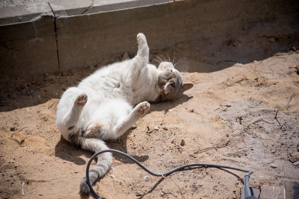 Photograph by Ольга Белова