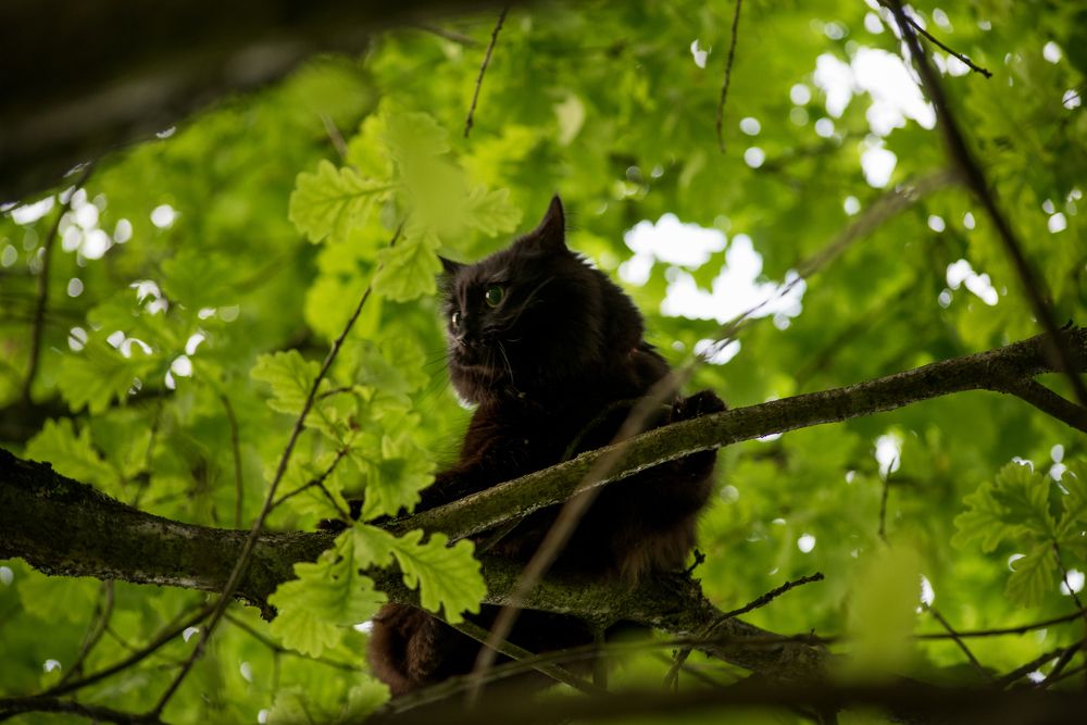 Photograph by Ольга Белова