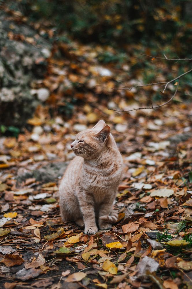 Photograph by Шалыгин Дмитрий