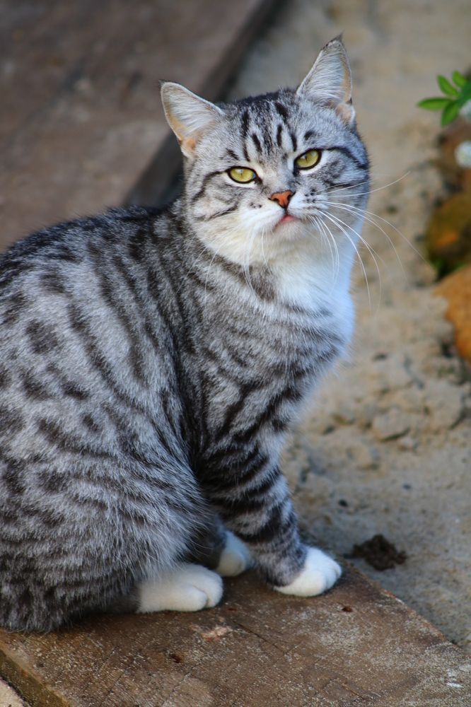 Photograph by Светлана Шуткова