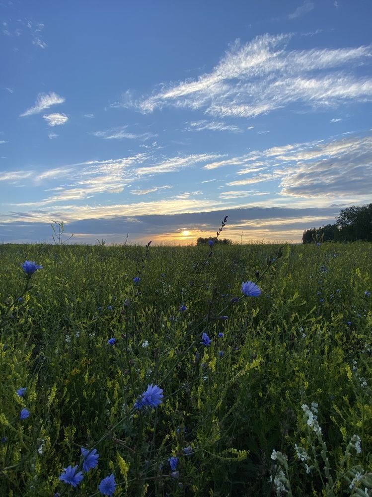 Photograph by Алиса Лукина