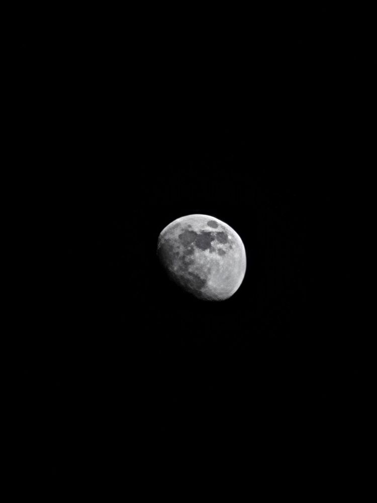 Photo #8766883