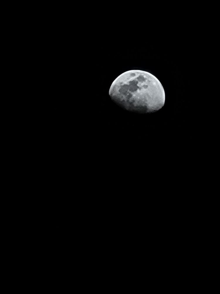 Photo #8766886