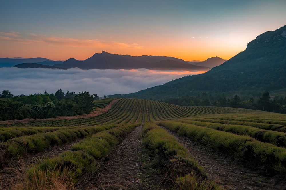 Photograph by Benjamin Goldenberg