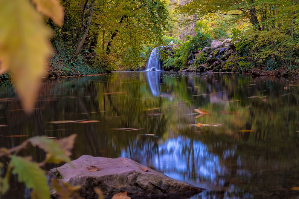 Photograph by Benjamin Goldenberg