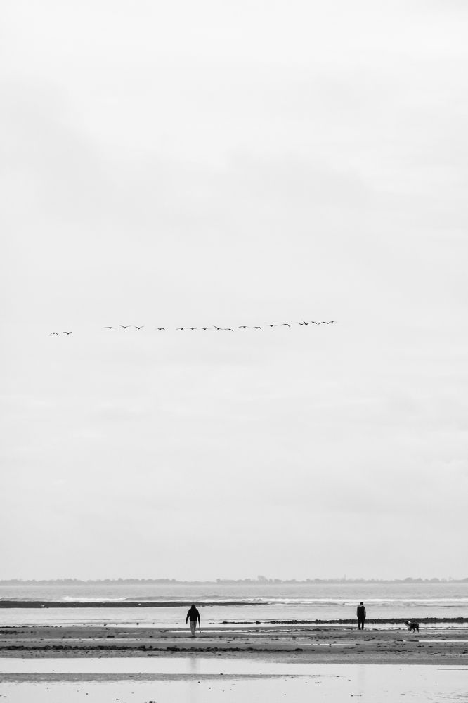 Photograph by Benjamin Goldenberg