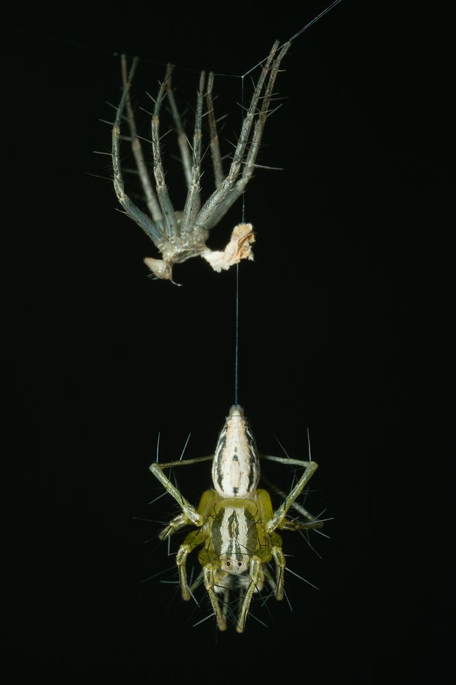 Photograph by Денис Ветренко