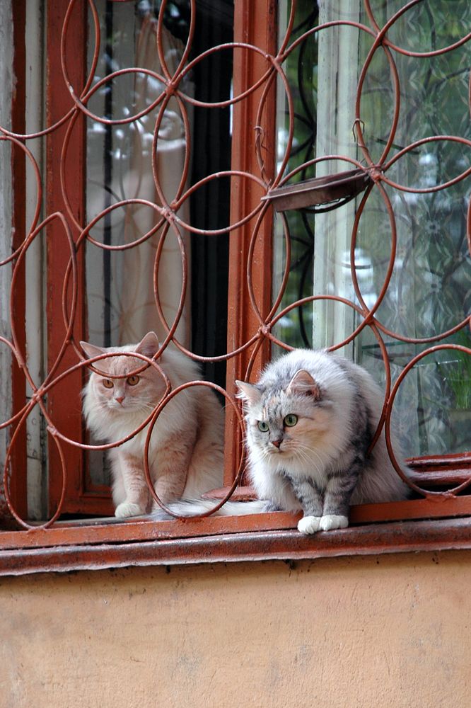 Photograph by Валерий Чуркин