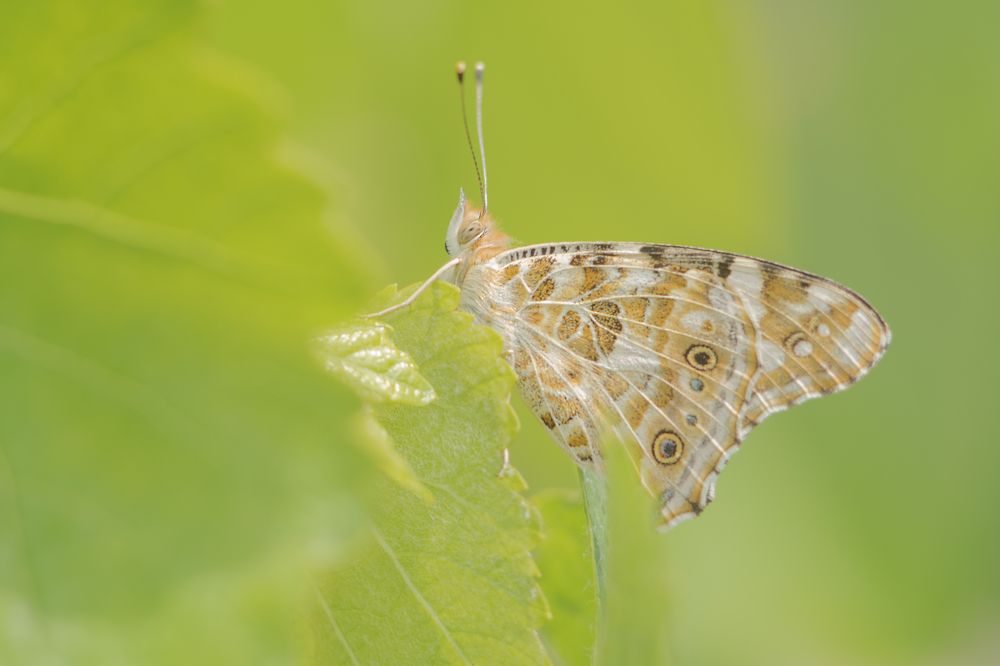 Photograph by Денис Ветренко