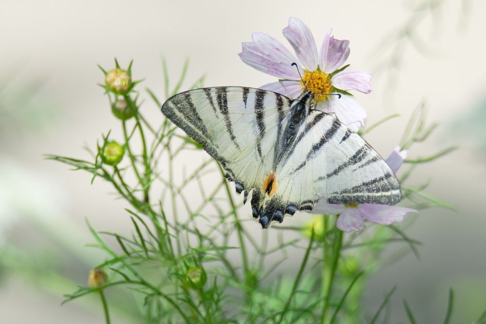 Photograph by Денис Ветренко