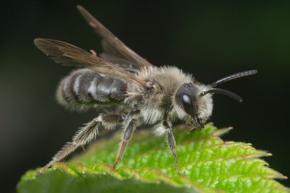 Photograph by Денис Ветренко