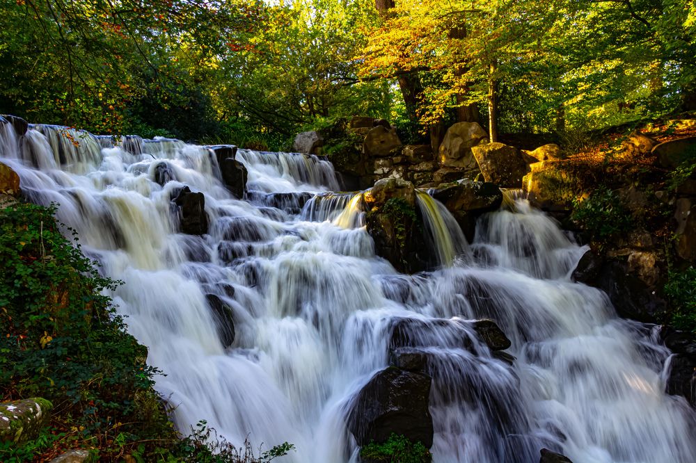 Photograph by Teodora Codreanu