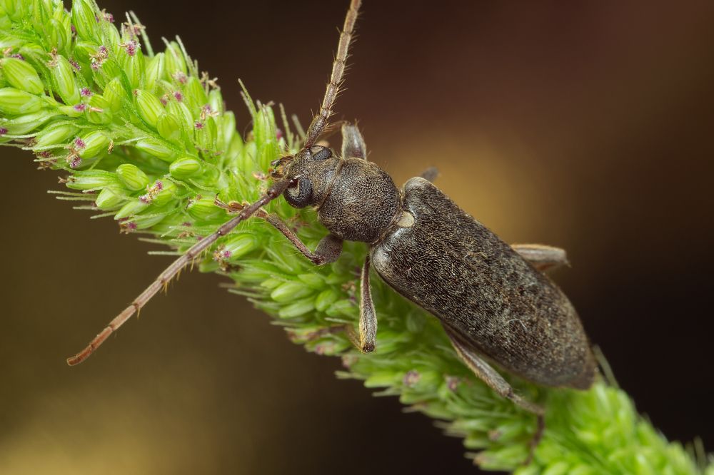 Photograph by Денис Ветренко