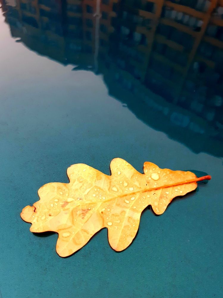 Photograph by Eugenia Eugenia