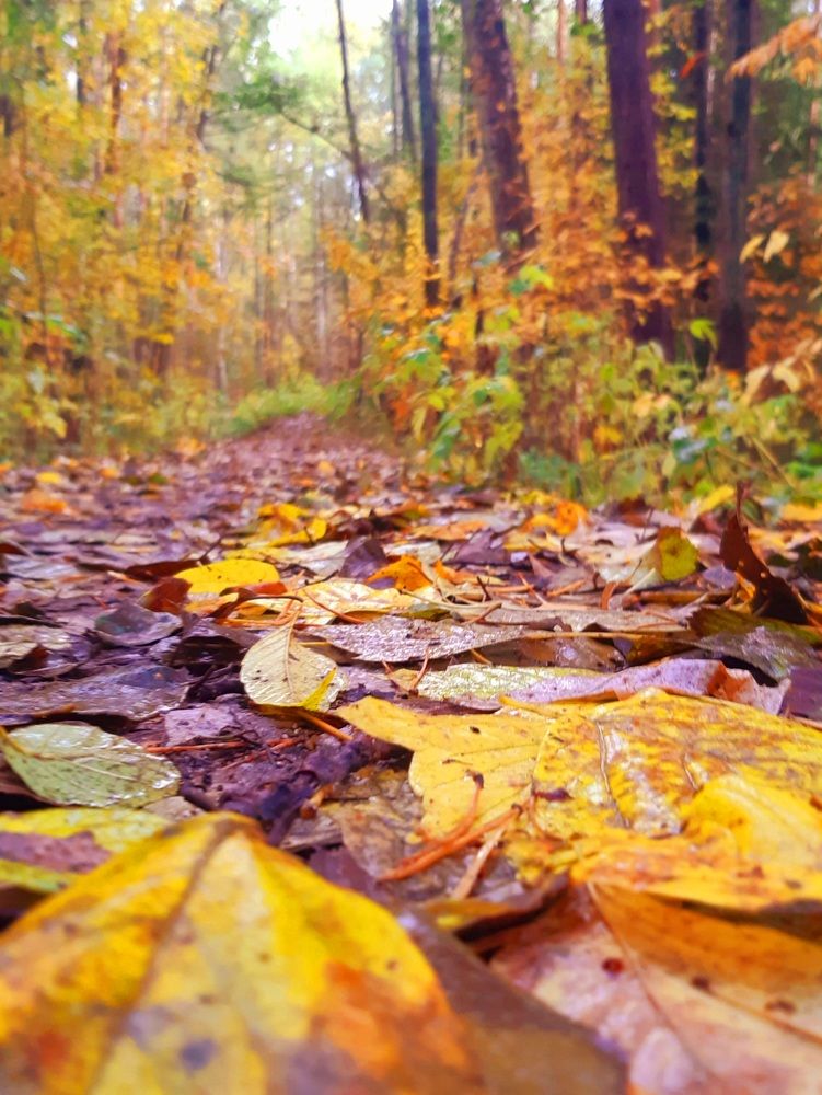 Photograph by Eugenia Eugenia