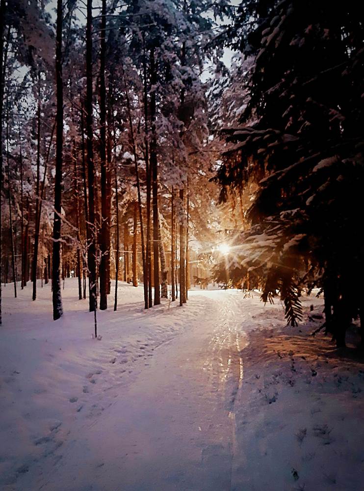 Photograph by Eugenia Eugenia