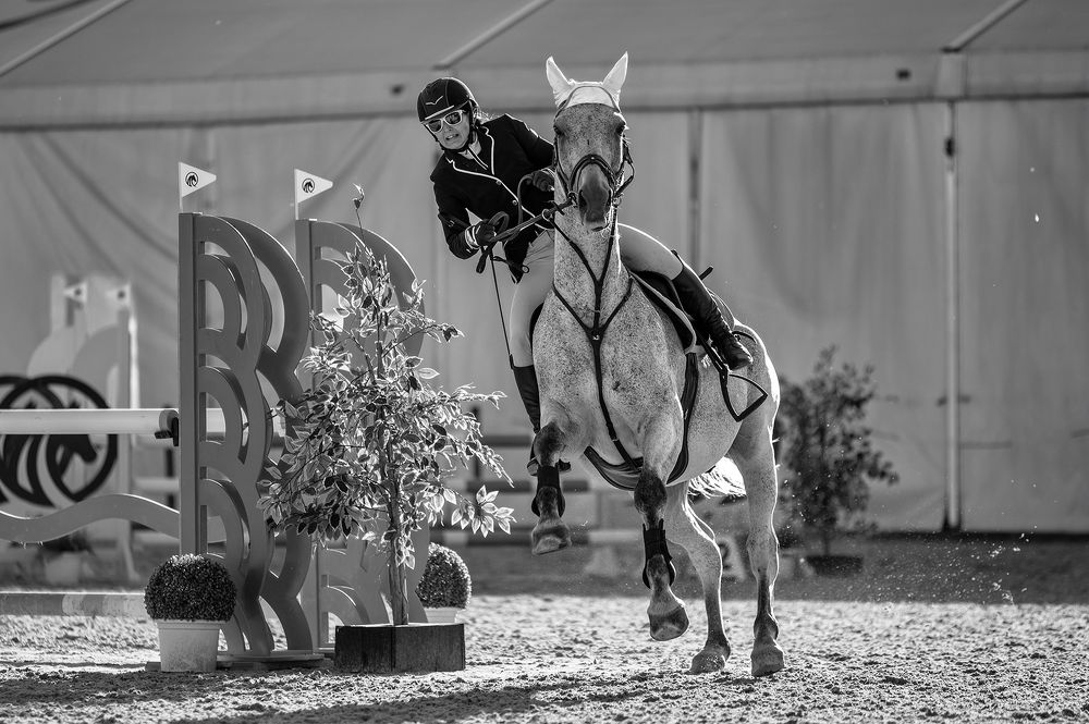 Фотография автора DanPav