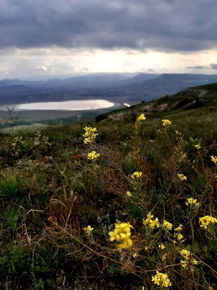 Photograph by Eugenia Eugenia