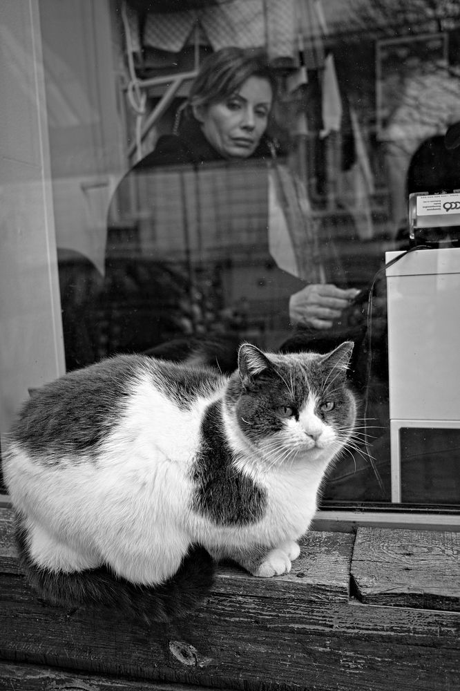 Photograph by Veska Saeva