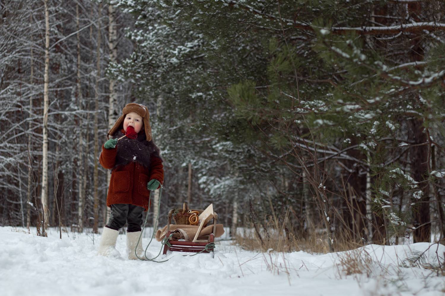 Photo #8767206