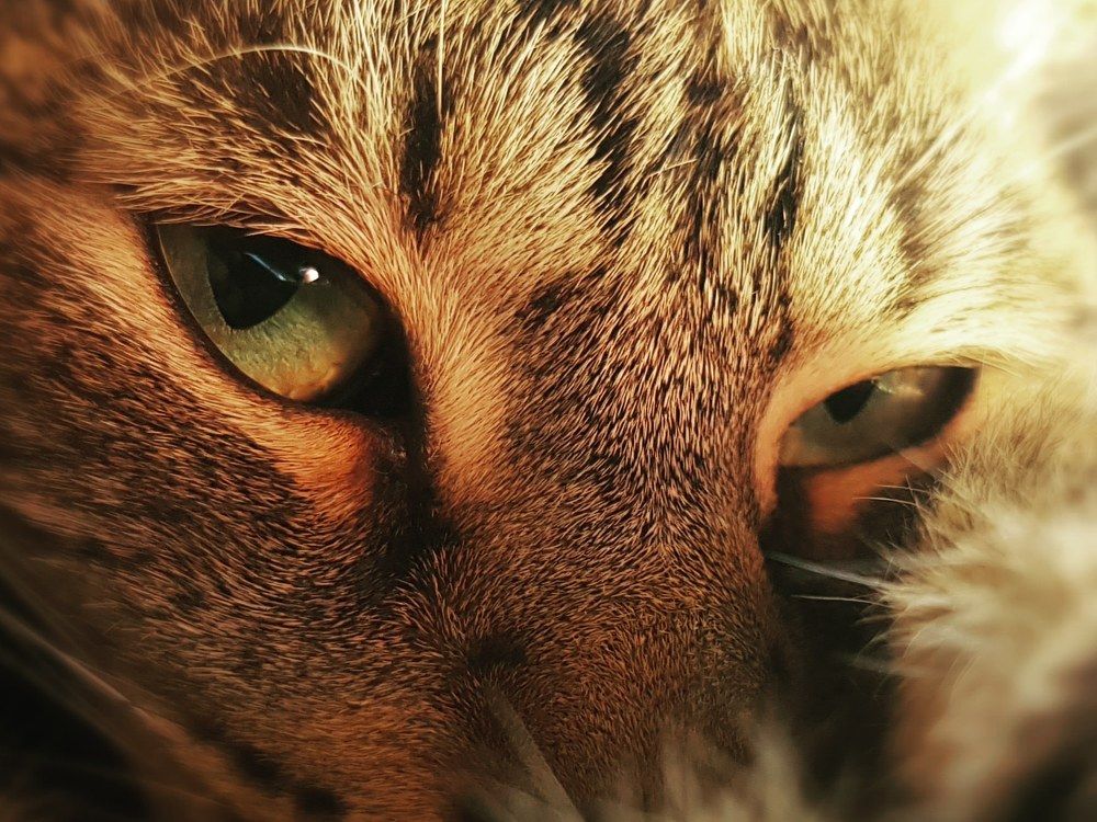 Фотография автора Jozef Valenta