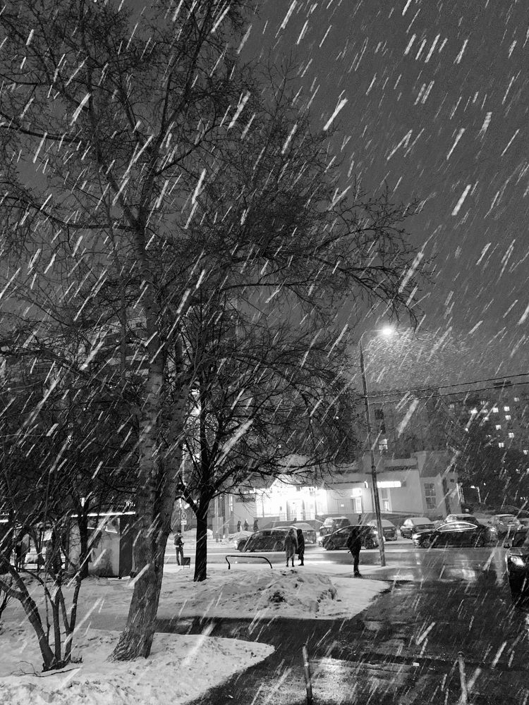 Photograph by Елена Макуха