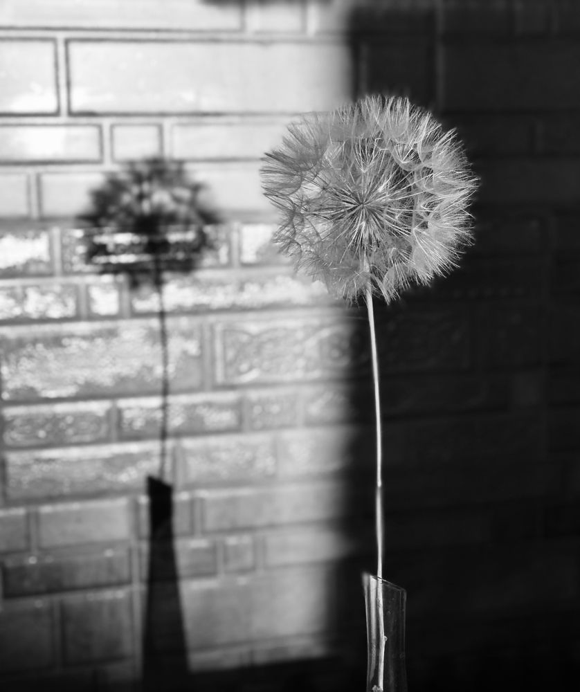 Photograph by Наталья Перерва