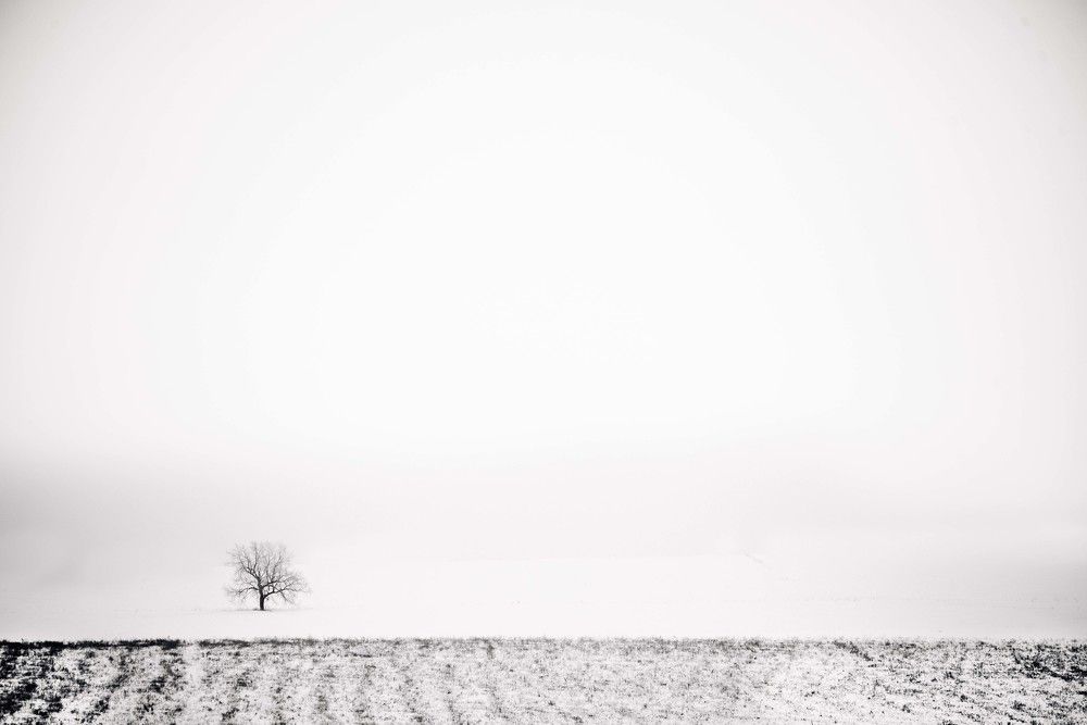 Фотография автора Илья Рыбаков