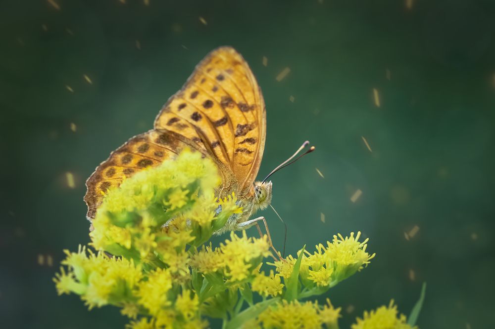 Photograph by Хилько Марина