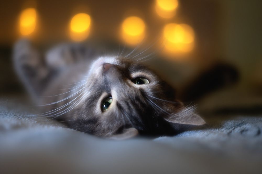 Photograph by Денис Серёгин