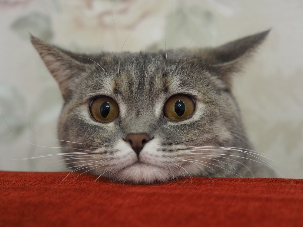 Photograph by Олег Деркач