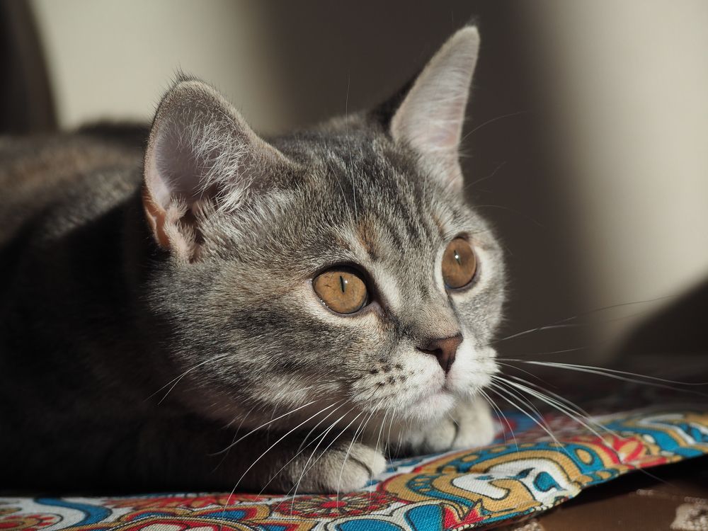 Photograph by Олег Деркач