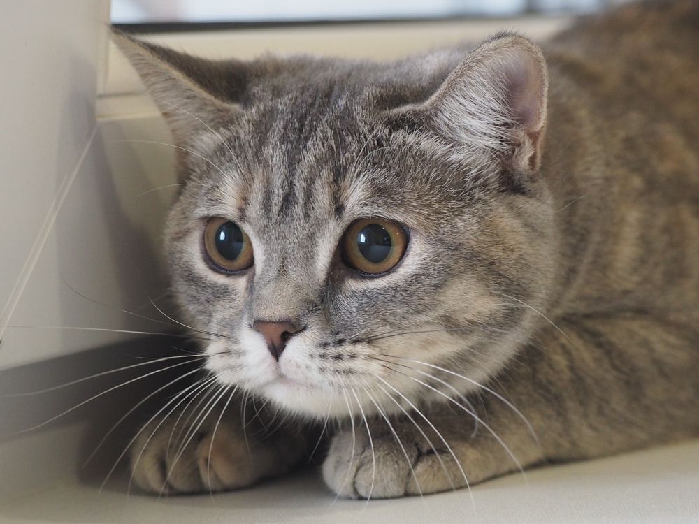 Photograph by Олег Деркач